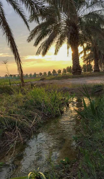 Best offers for Idou Tiznit Tiznit