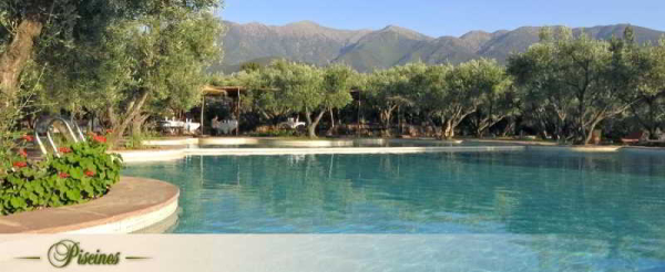 Best offers for Oliveraie De Marigha Marrakesh