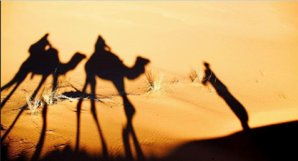 Best offers for Bivouac Nahkla Zagora