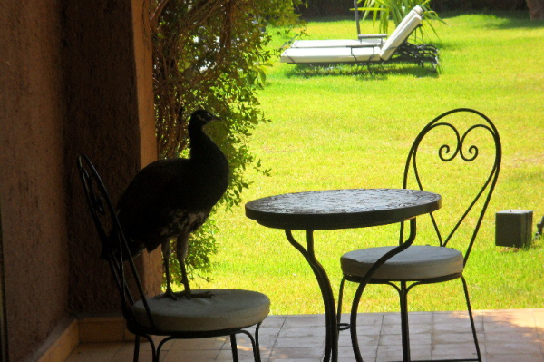 Best offers for Dar Tifawine Marrakesh