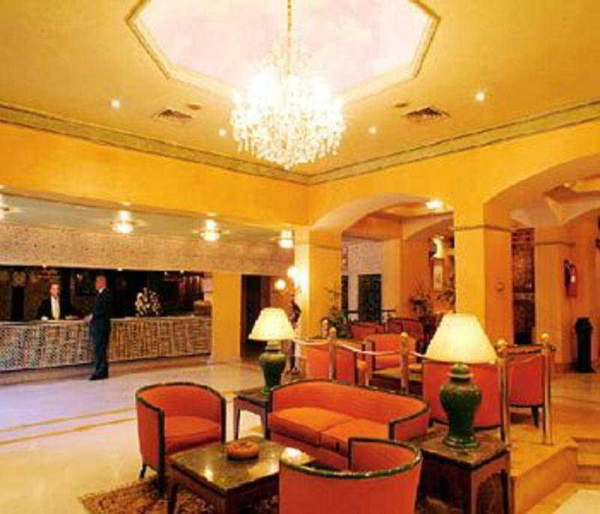 Best offers for Sofia Fez