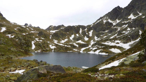 أفضل العروض ل كاريبوو إنكامب