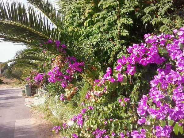 Best offers for Apartments Moreta Biograd Na Moru