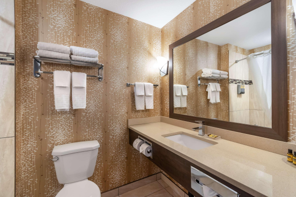 أفضل العروض ل  سويفت كورنت