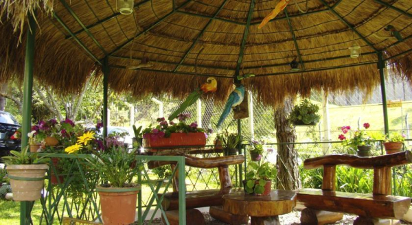 أفضل العروض ل  كامبوس دو جورداو