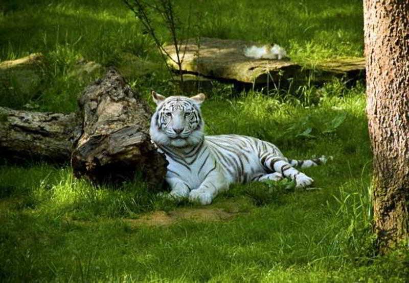 Best offers for Towneplace Suites Nashville Airport Nashville 