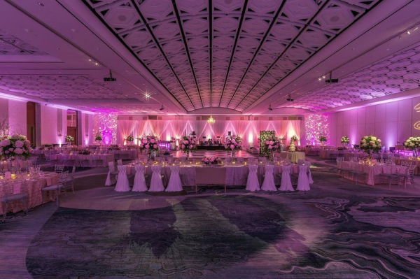 أفضل العروض ل  نورفولك 