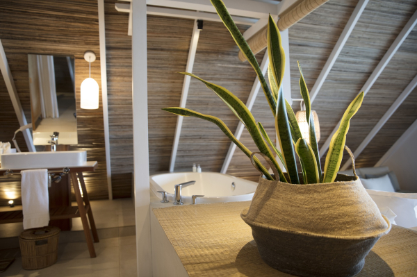Best offers for Preskil Island Resort Mauritius