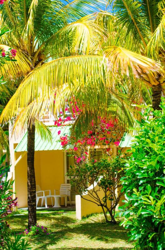 أفضل العروض ل سيلفر باش ماوريتيوس