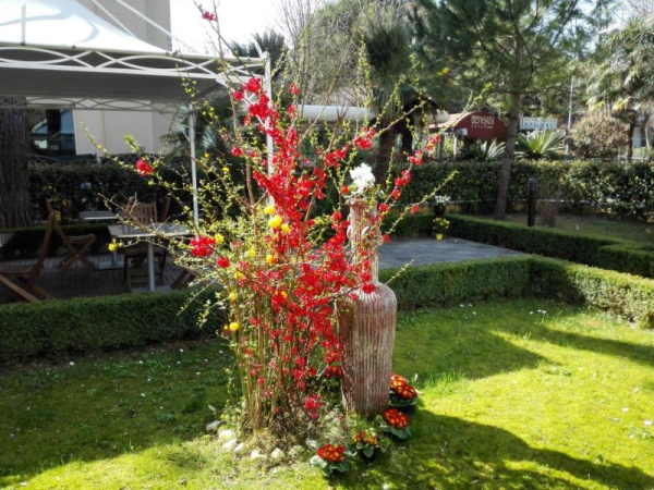 أفضل العروض ل اليبي ريميني