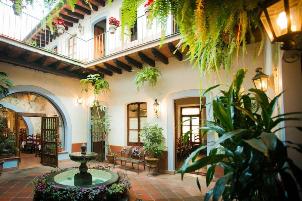 أفضل العروض ل  أوزاركاكرس