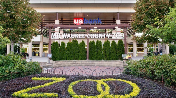 أفضل العروض ل فاور بوينتس باى شراتون ميلوااكي نورث شور بروون دير