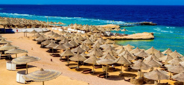 أفضل العروض ل  الغردقة