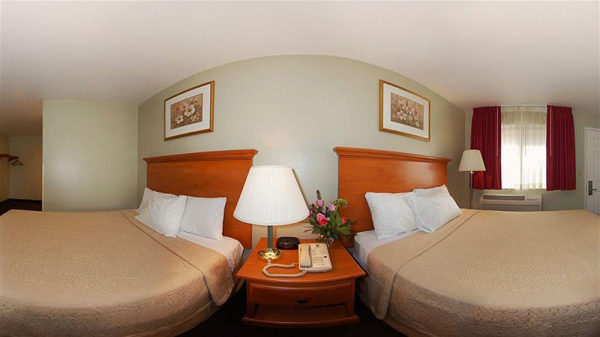 أفضل العروض ل  تراسى 