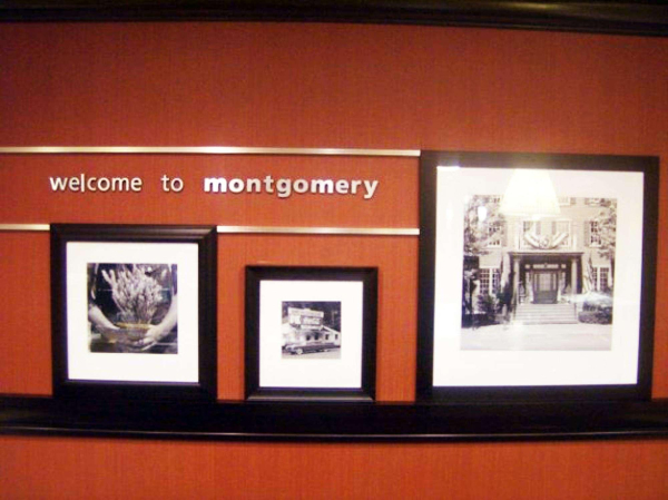 أفضل العروض ل  هوب هول 