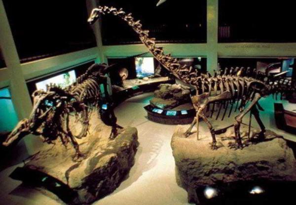 أفضل العروض ل  هوستون 