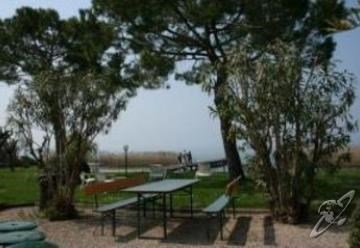 أفضل العروض ل  سيرميون