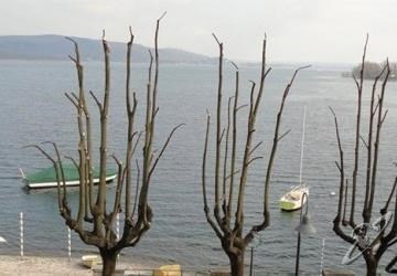 أفضل العروض ل فندق جىاردينو ارونا