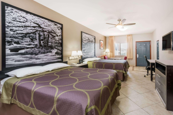 أفضل العروض ل سابر 8 باى ويندهام دونا دونا