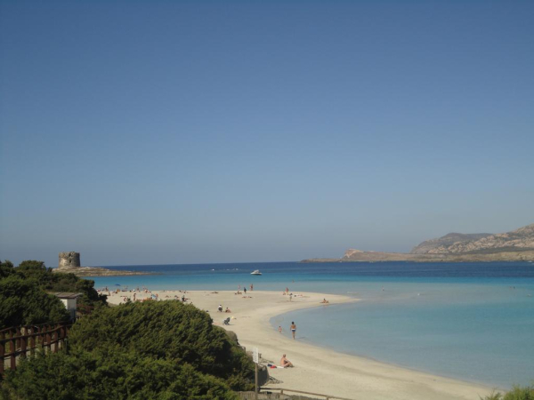 Best offers for Cala Rosa Club Hotel Stintino