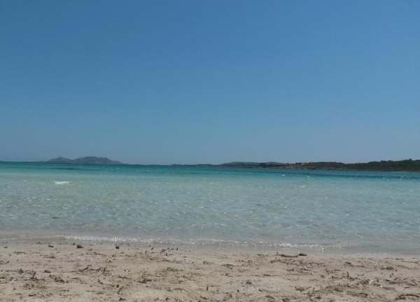 أفضل العروض ل فندق بيكادا بالاو