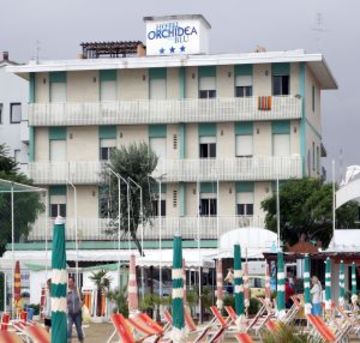 Best offers for ORCHIDEA BLU Torre Pedrera