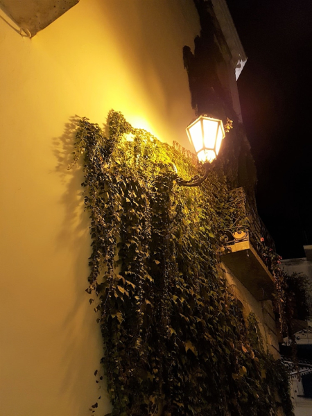 Best offers for Hotel San Nicola Altamura