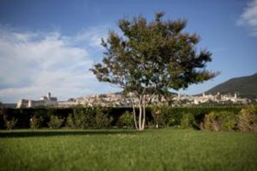 Best offers for BELLAVISTA Santa Maria Degli Angeli