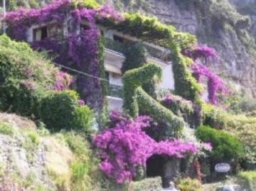 Best offers for HOTEL PELLEGRINO Praiano