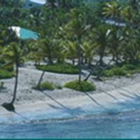 Palms at Pelican Cove