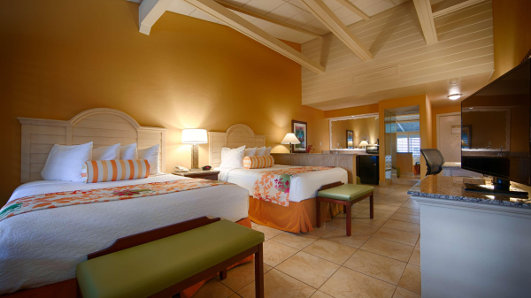 أفضل العروض ل  دوندين 