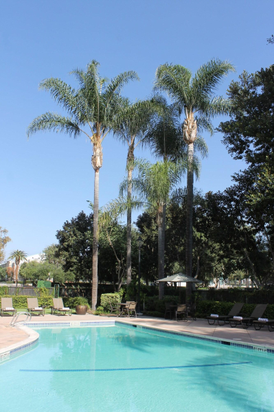 Best offers for Sheraton Fairplex Hotel & Conference Center Pomona