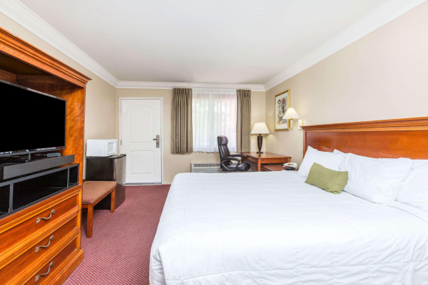 أفضل العروض ل دايسان باى ويندهام نير سيتىاف هوب دوارت