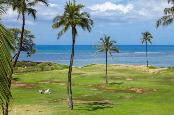 أفضل العروض ل كيهياكاهي كيهي 