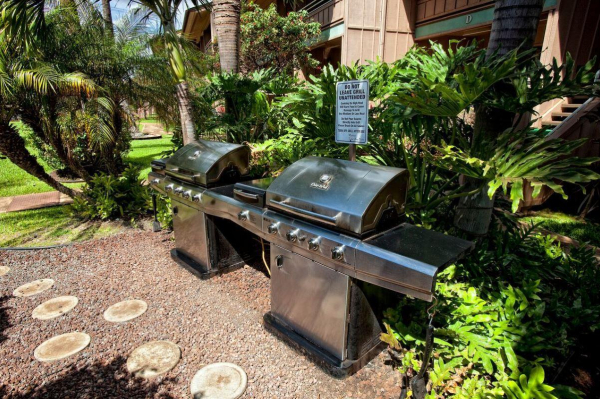 أفضل العروض ل كيهي باي فيستا كيهي 