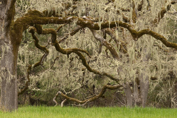 Best offers for GuestHouse Abbeville Abbeville