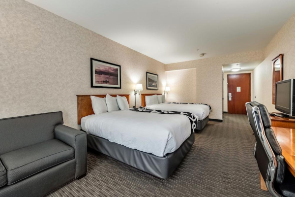 أفضل العروض ل ذانات جىج هاربور جىج هاربور