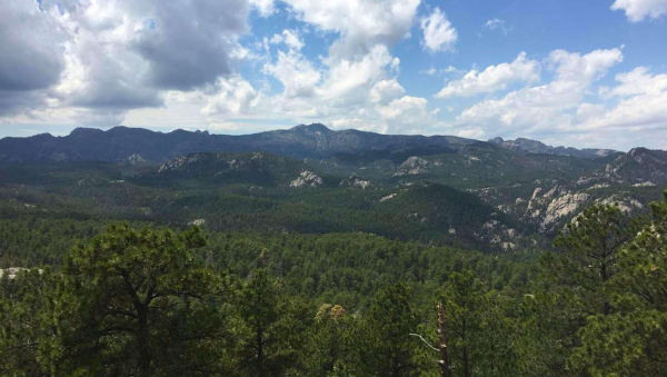 أفضل العروض ل ماجناصون جراند راصهمور فيو كايستون