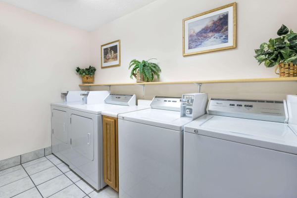 أفضل العروض ل سابر 8 باى ويندهام تشامبرلين سد أواكوما