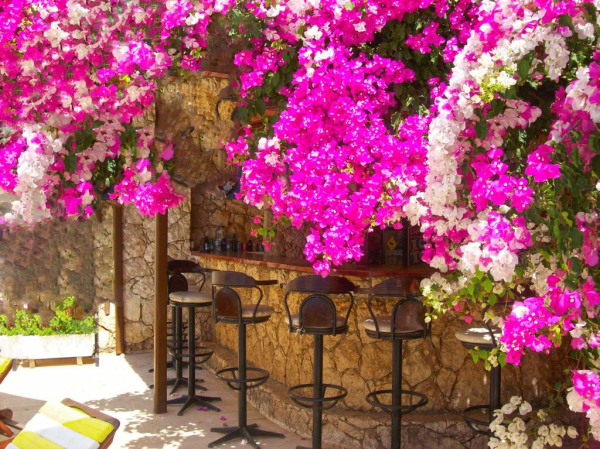Best offers for Sevgi Hotel Kalkan
