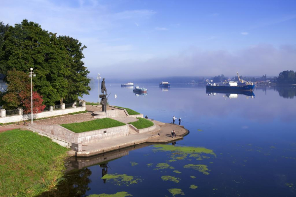 أفضل العروض ل يزهورا كولبينو