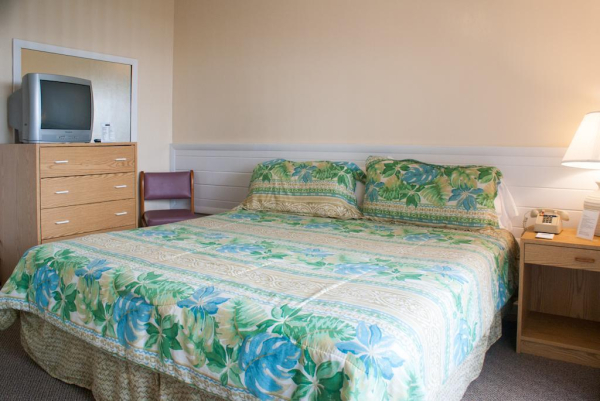 أفضل العروض ل كواستال واترسان نو سميرنا بيتش 