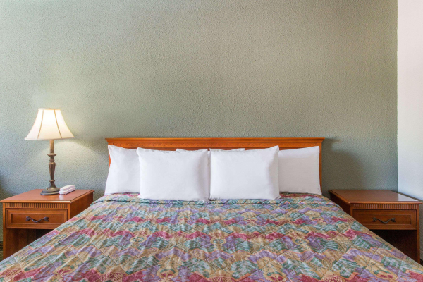 أفضل العروض ل كنيفتسان بلانت سيتى بلانت سيتي