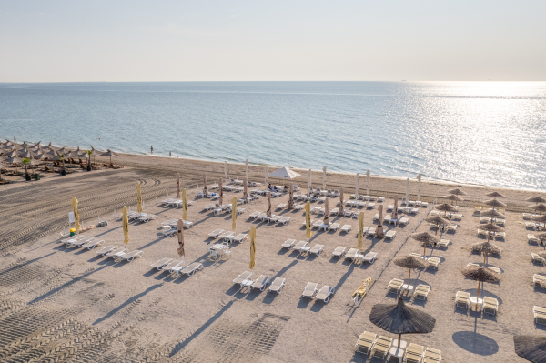 Best offers for Hawaii Mamaia