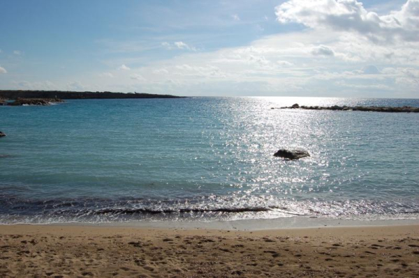 Best offers for PANARETI CORAL BAY Coral Bay