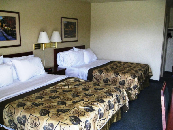 أفضل العروض ل درامهلر ترافلودجى درومهلر