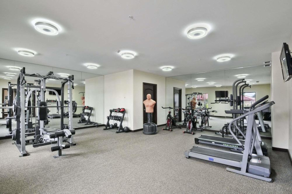 أفضل العروض ل ترافلودجى فار/مكاولن فار