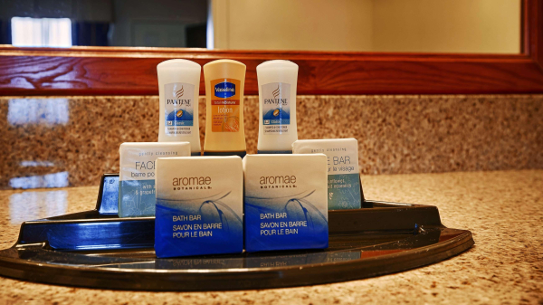 Best offers for Best Western Caprock Inn Brownfield 