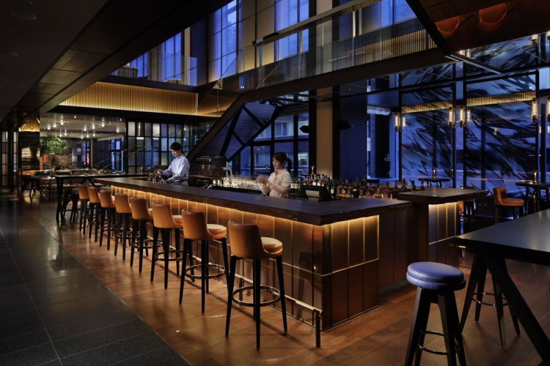 أفضل العروض ل هيات سنتريك جىنزا توكيو طوكيو