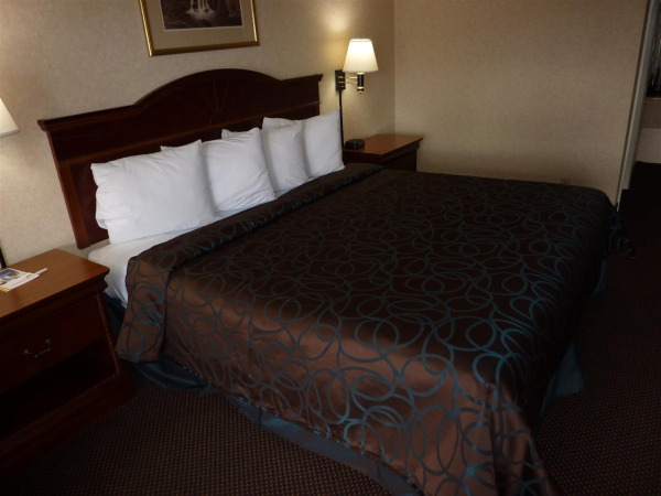 Best offers for BEST WESTERN DICKSON Dickson 